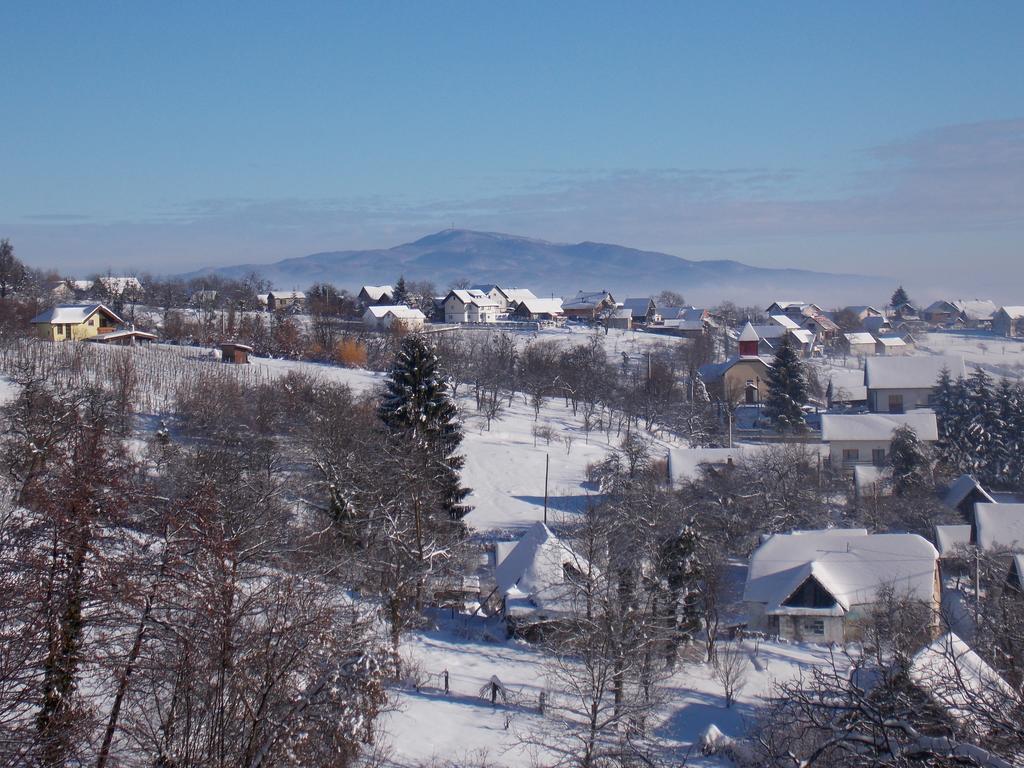 Apartment Etno Kuca Pod Okicem Samobor