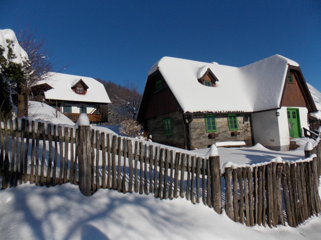Apartmán Etno Kuca Pod Okicem *