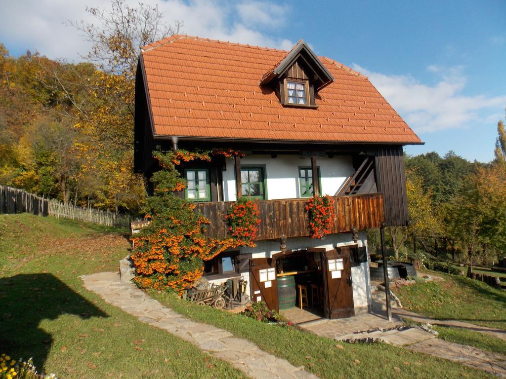 Apartment Etno Kuca Pod Okicem *